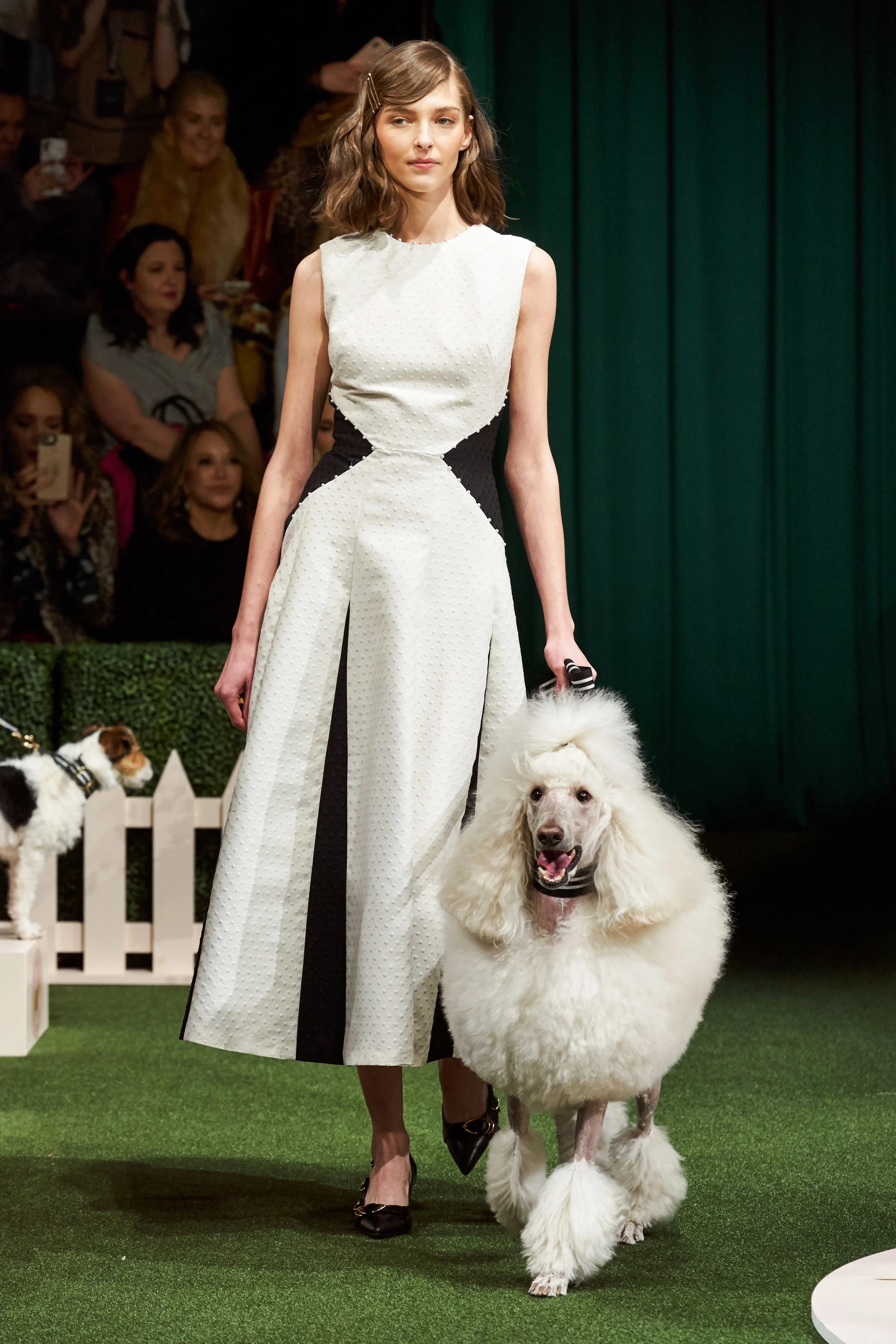 westminster dog show Fashion fashionado